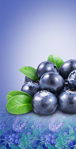 藍(lán)莓產(chǎn)品