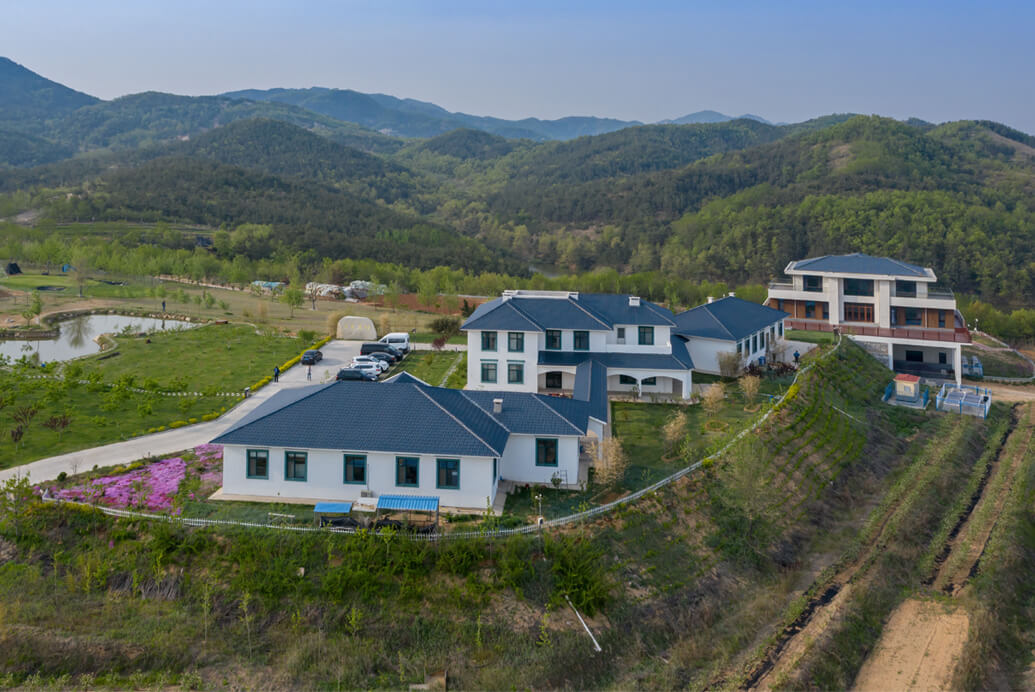 2019莊園美景賞析