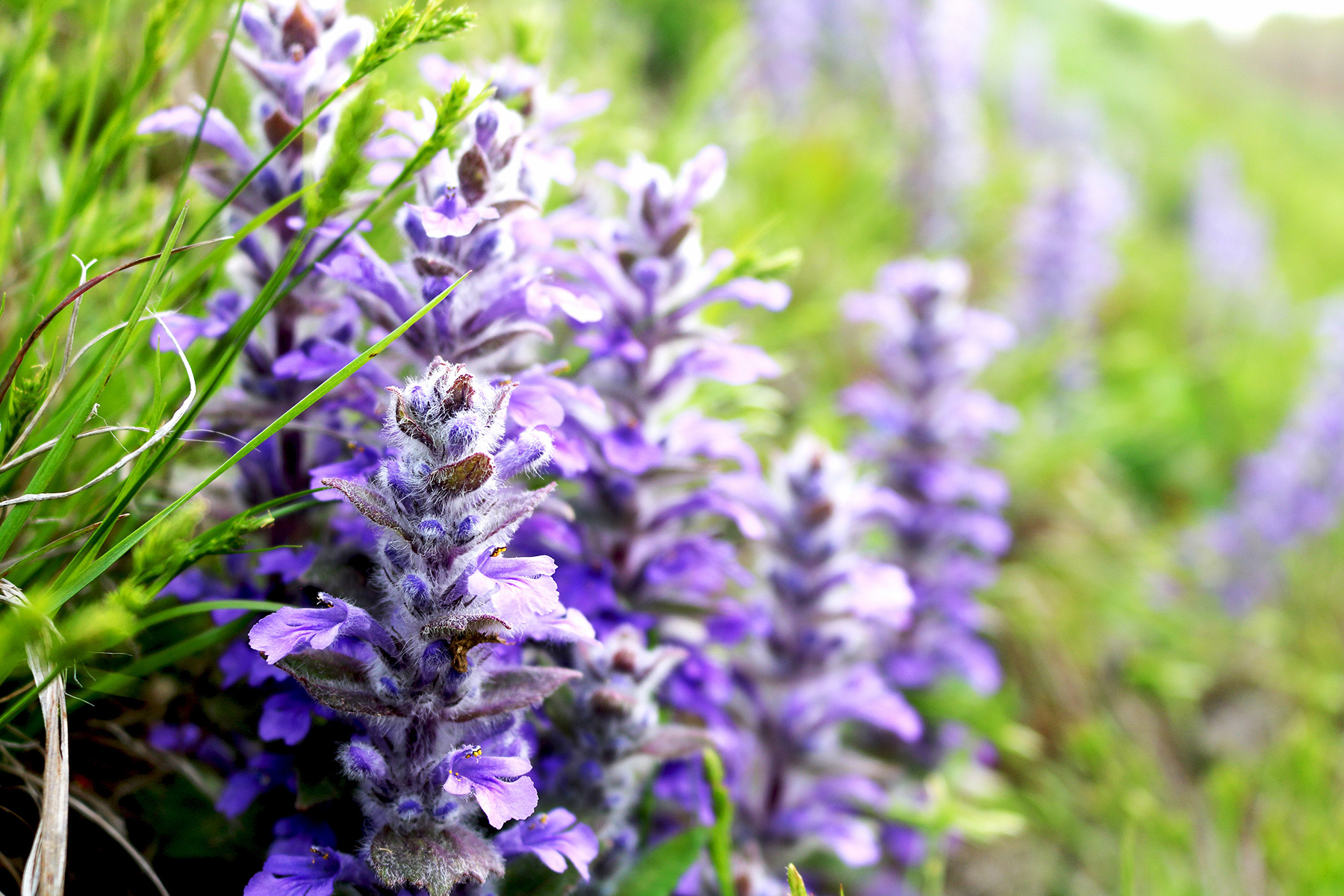 微信圖片_20200604092350_副本