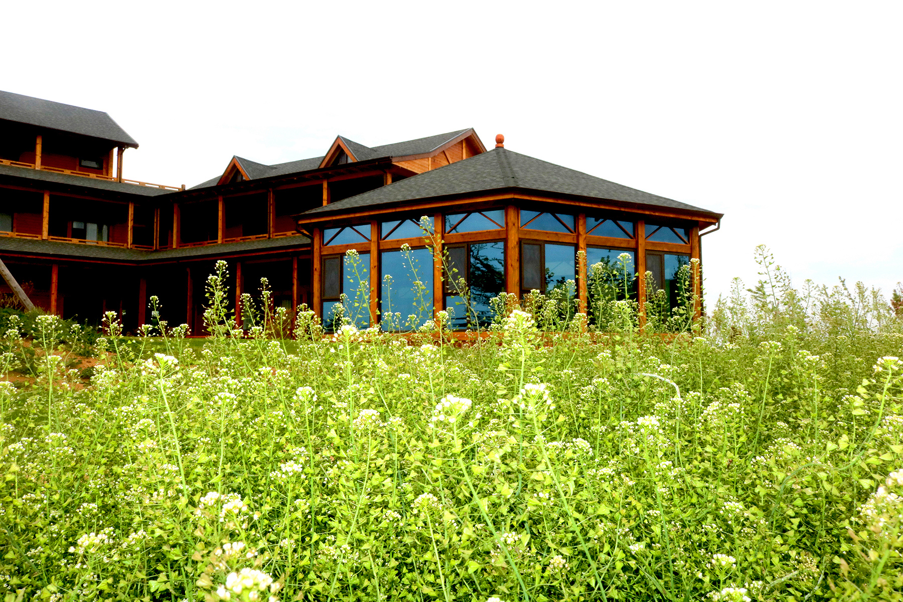 微信圖片_20200604092350_副本