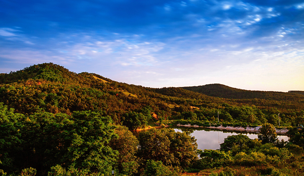 微信圖片_20200626144614_副本