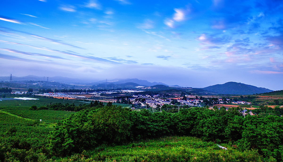 微信圖片_20200626144637_副本