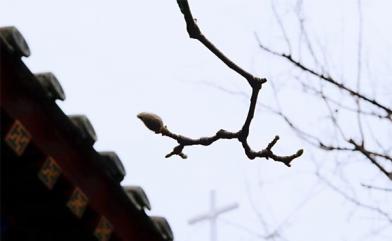 京璽健康俱樂部打卡活動(dòng)慶功會(huì)在京舉辦！