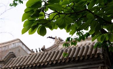 手機(jī)也能拍大片？北京這座四合院里，驚喜正在發(fā)生！